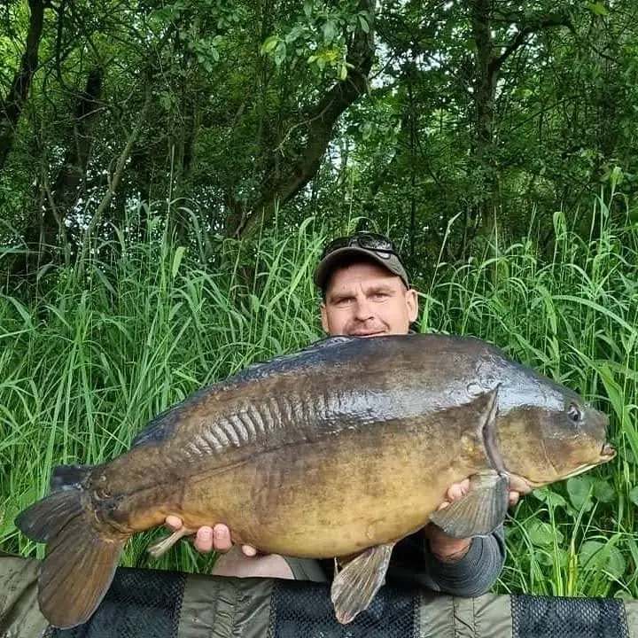 Angler with a carp caught on N.E Baits