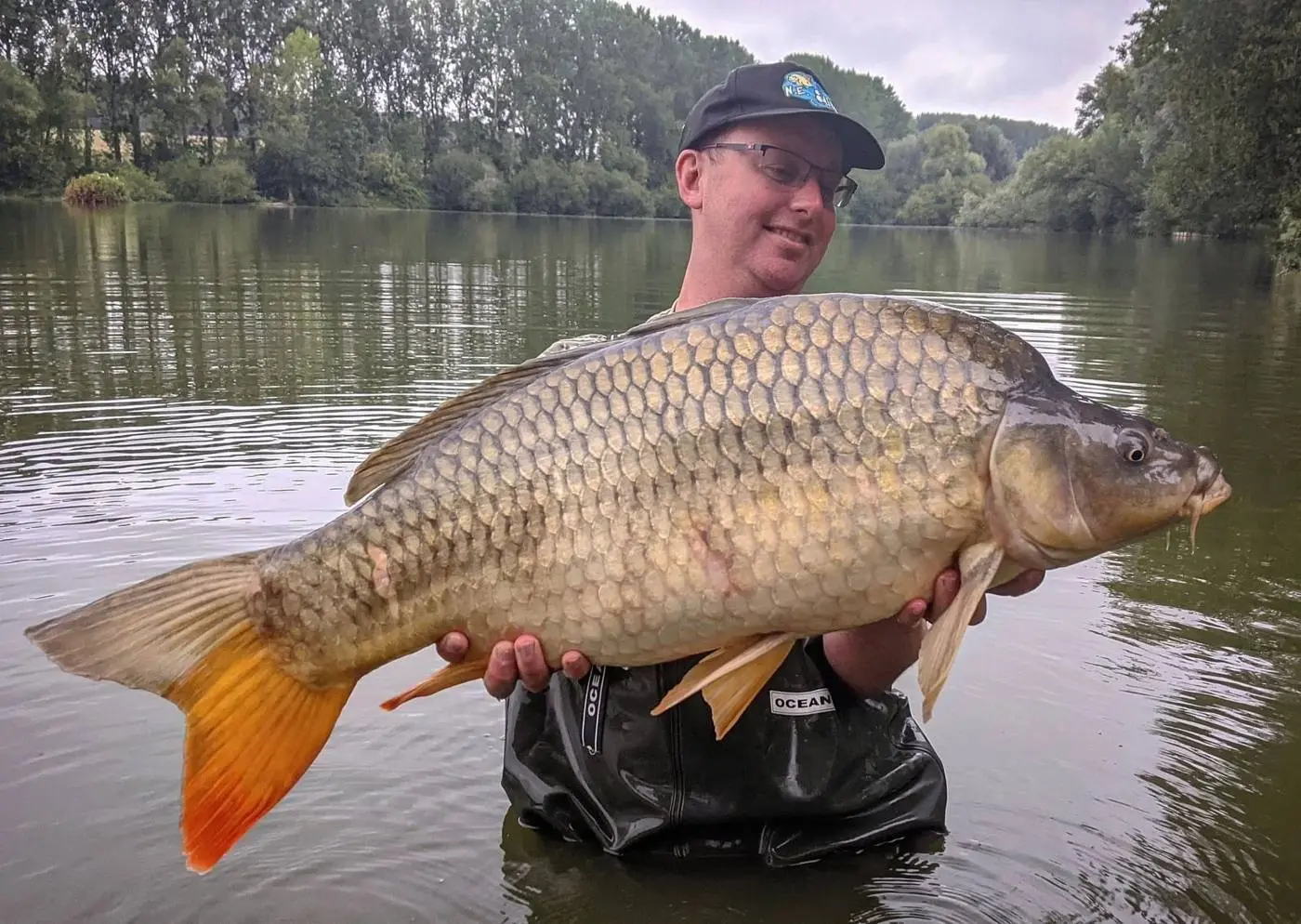 Angler holding a big common carp caught on N.E Baits, kneeling in the lake