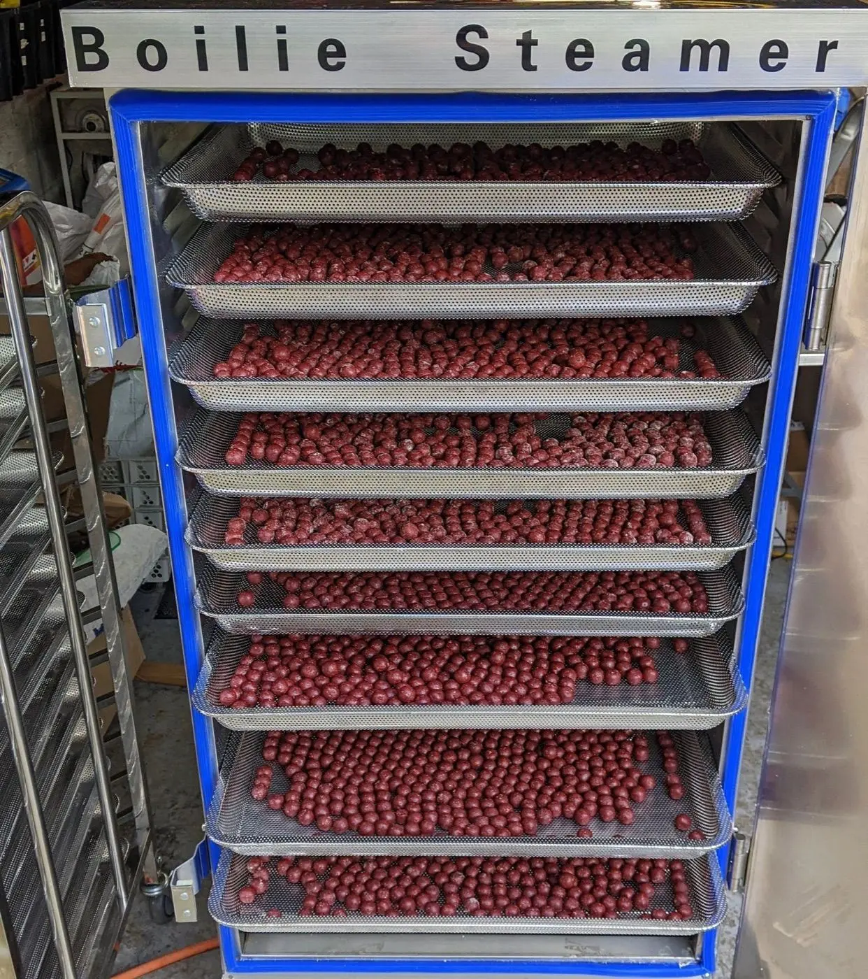 Trays of N.E Baits boilies inside the boilie steamer
