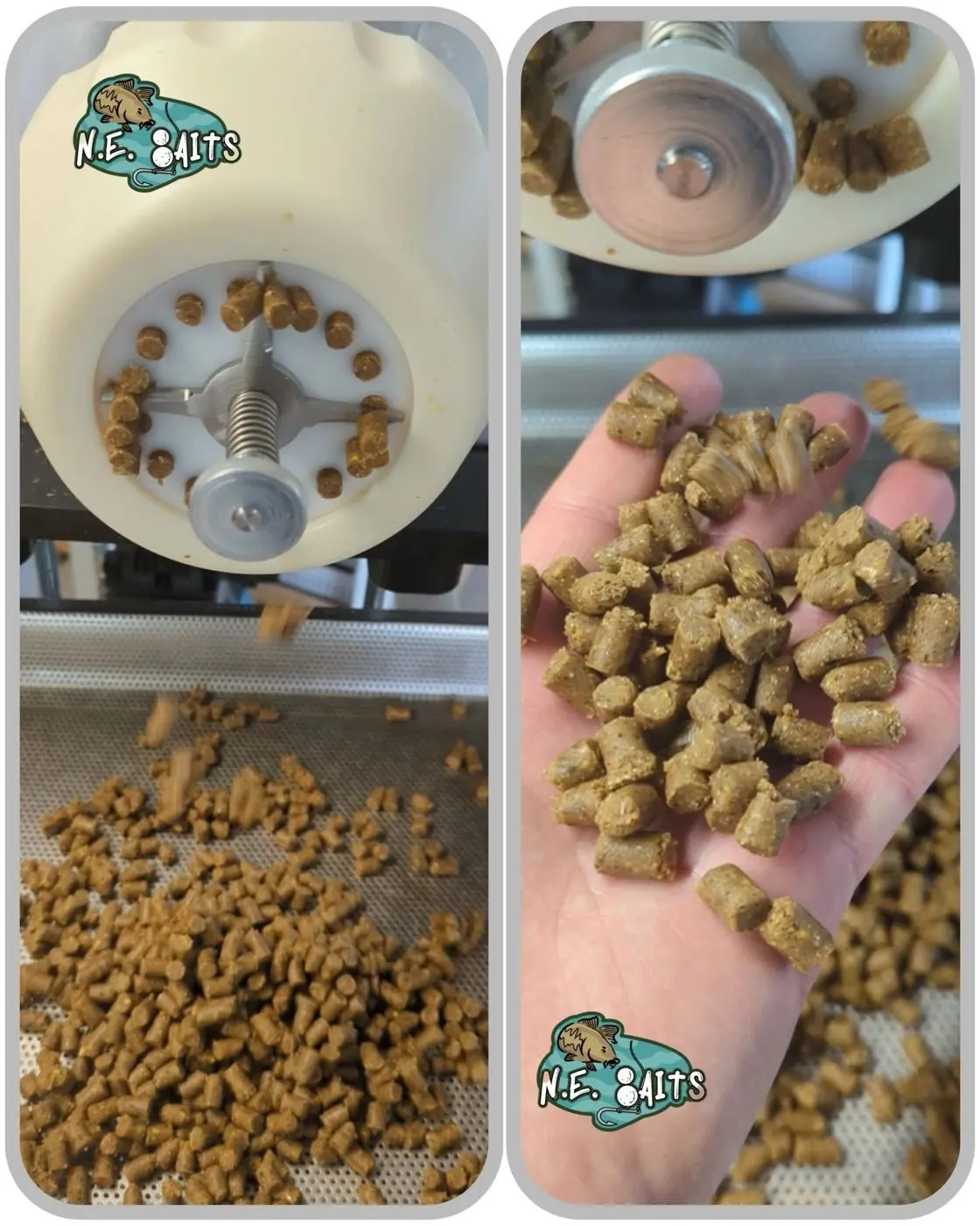 N.E Baits boilie pellets coming off the pellet machine, and a handful of fresh pellets